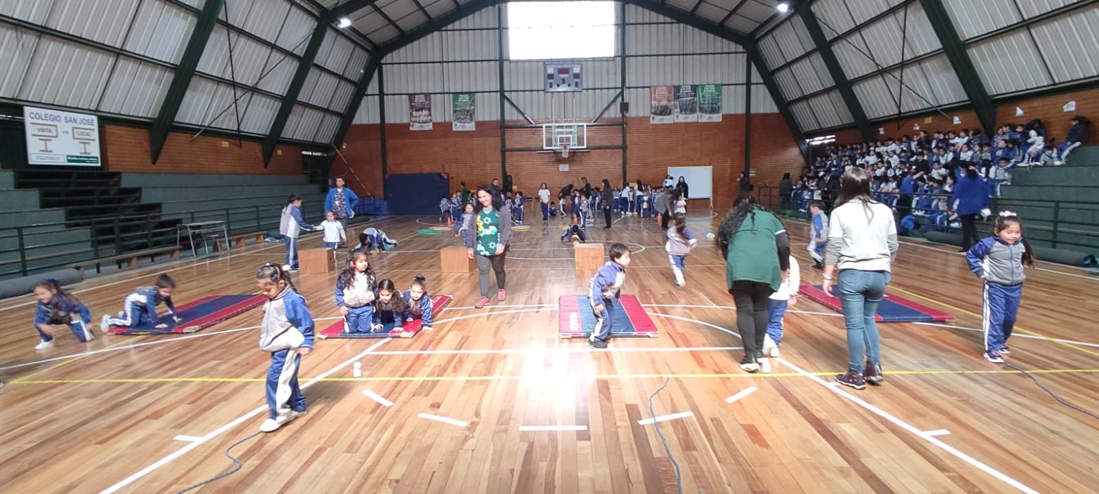 WhatsApp Image 2024-04-14 at 6.56.07 PM (1)