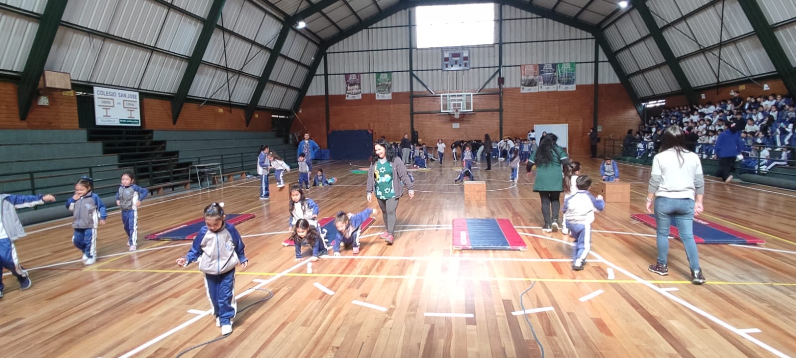 WhatsApp Image 2024-04-14 at 6.56.07 PM