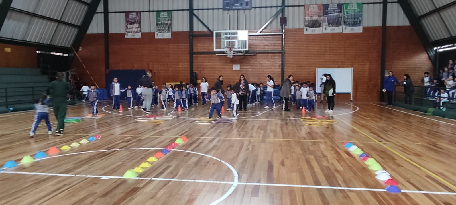 WhatsApp Image 2024-04-14 at 6.56.08 PM