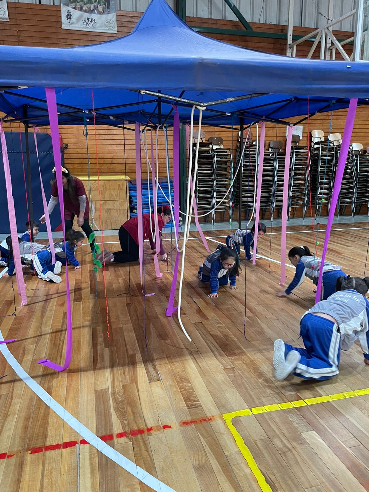 465970481_968236491991071_5253802152271044365_n