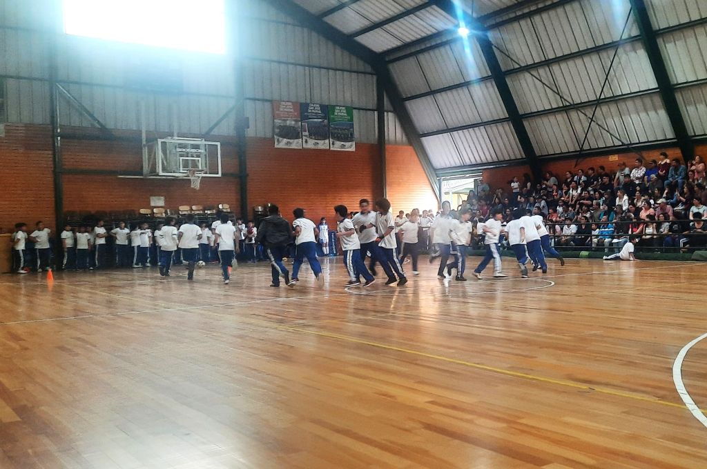 “Muestra anual de talleres Acles”
