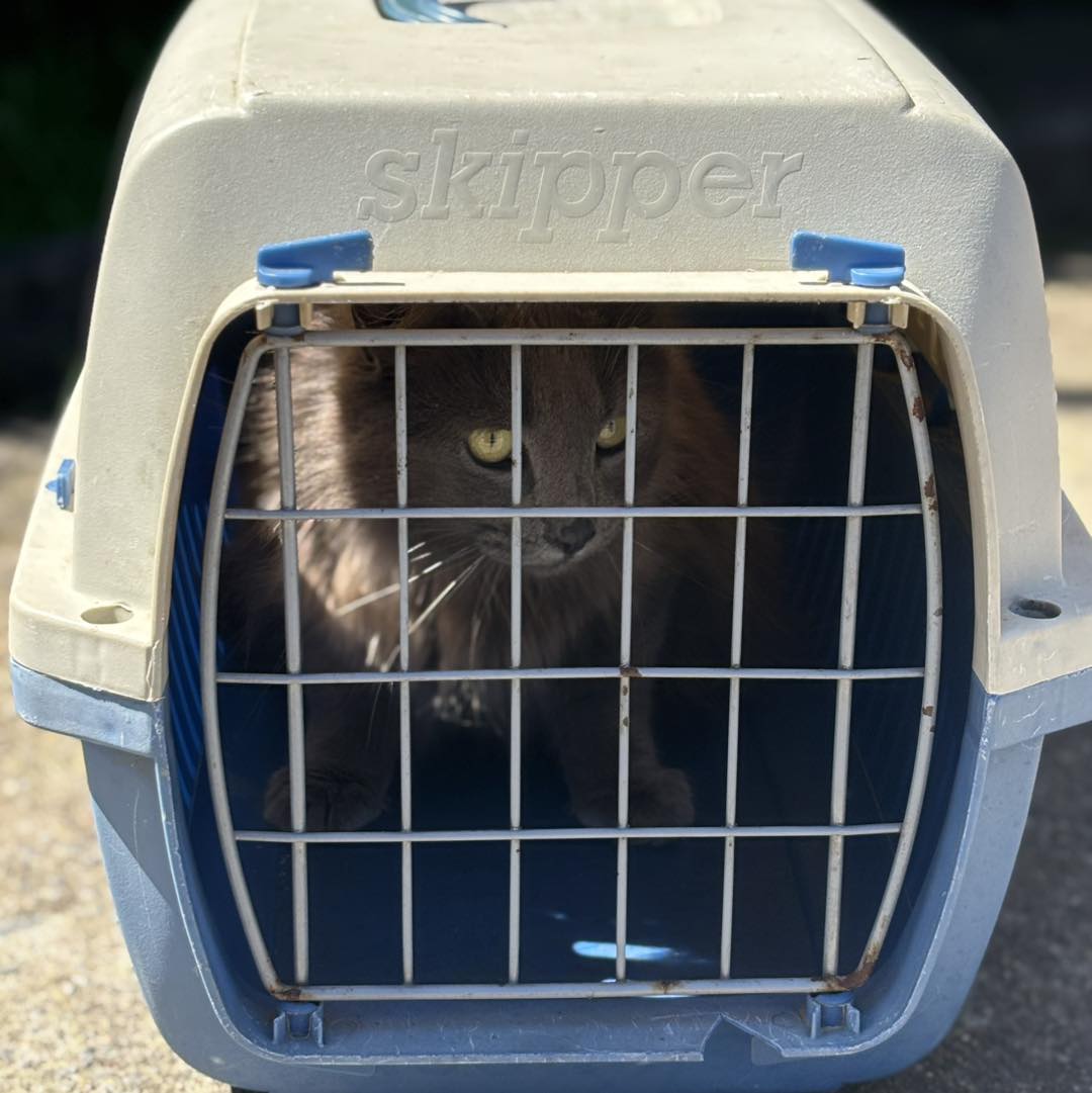 558872040_1254903419991042_6755970754586585678_n