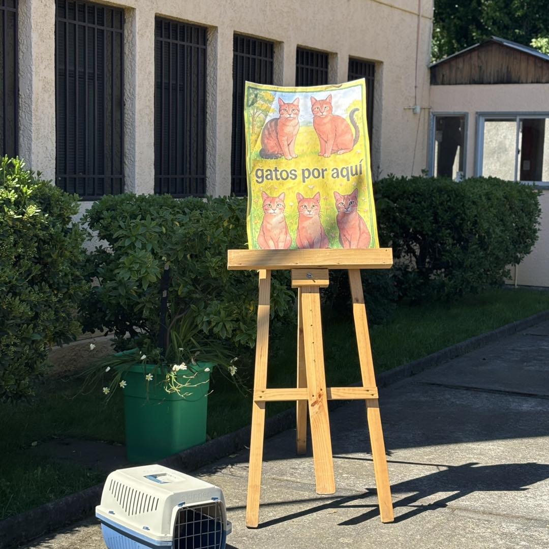 561395821_1254903416657709_6031630259385957556_n