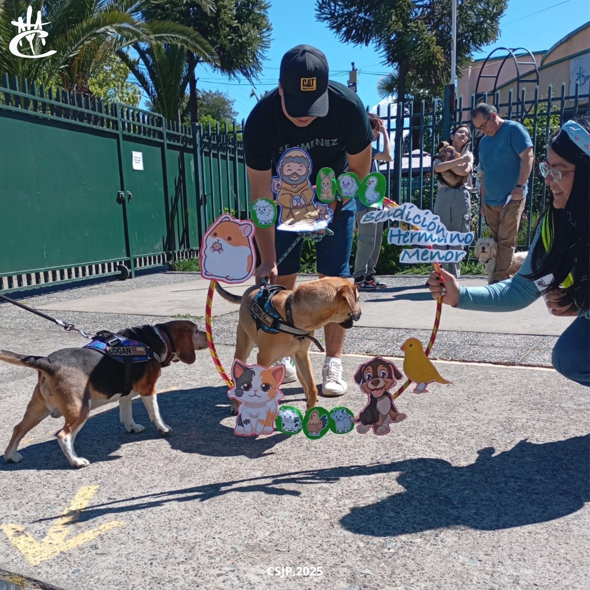 565698947_1261459162668801_9144093692697990753_n