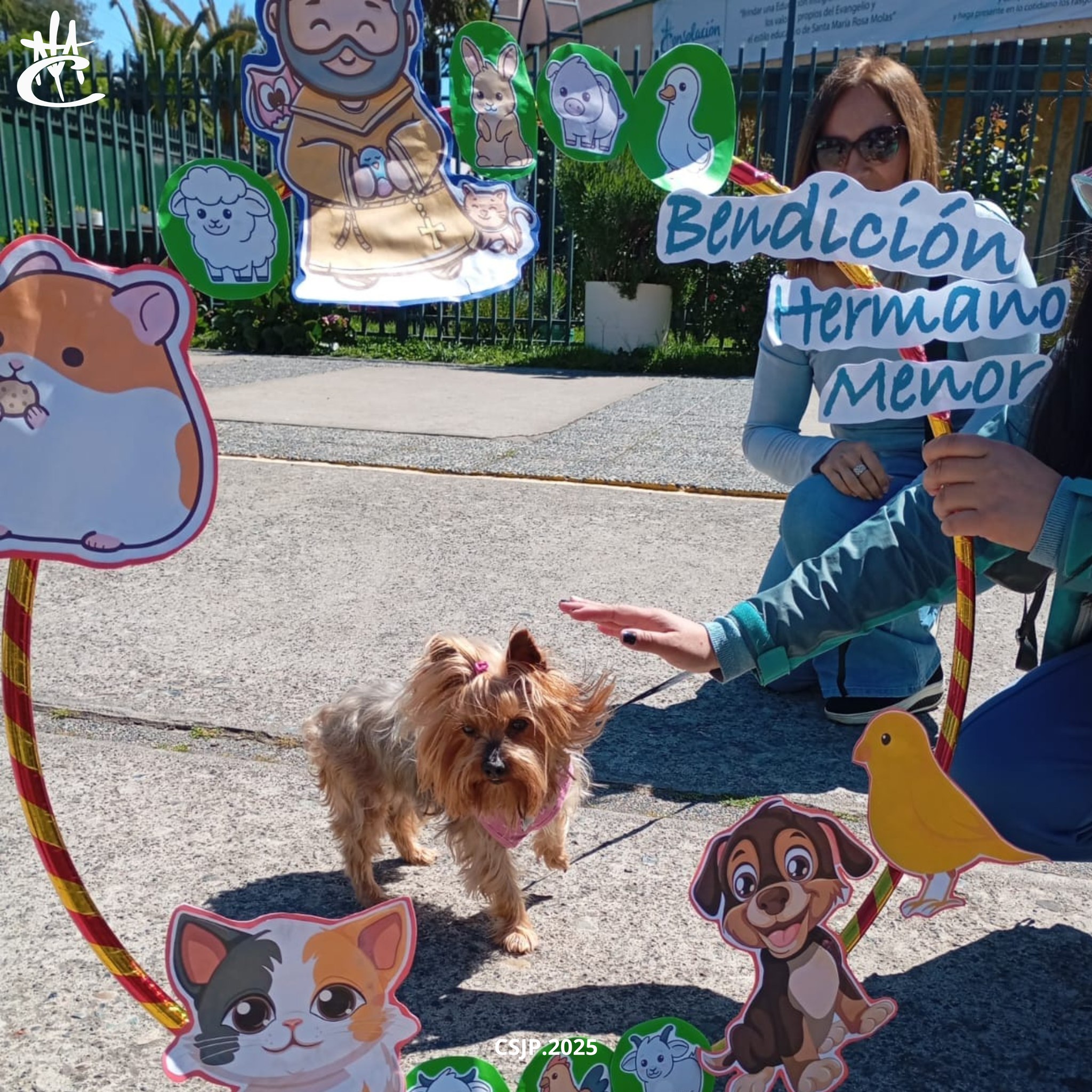 566201337_1261466609334723_6606808515998731998_n