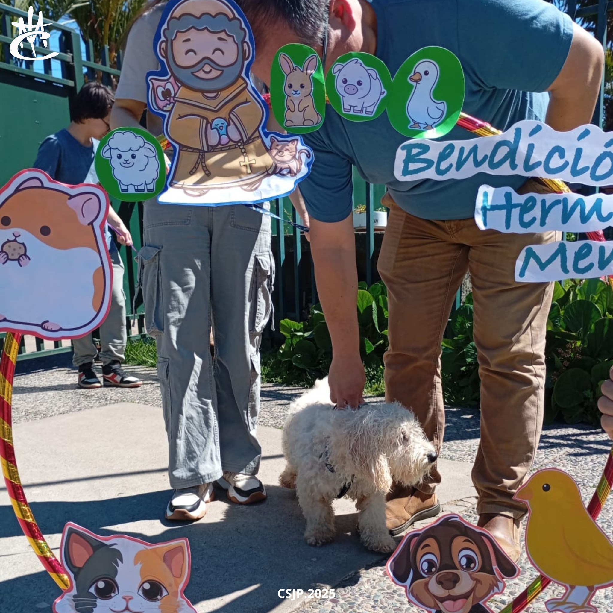 566241966_1261459066002144_2706624100430770057_n