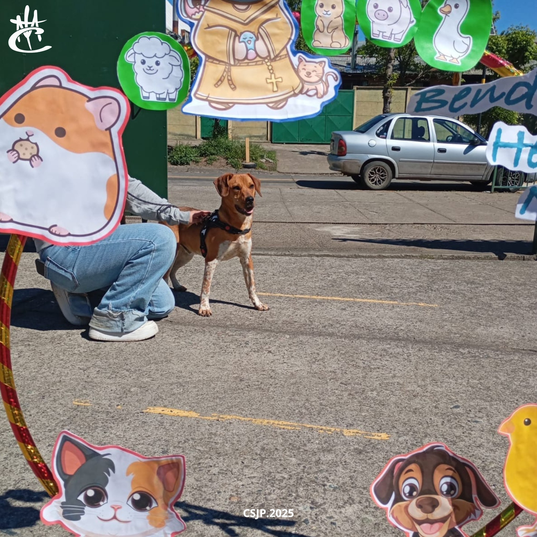 567647968_1261459082668809_2163802593572083527_n (1)