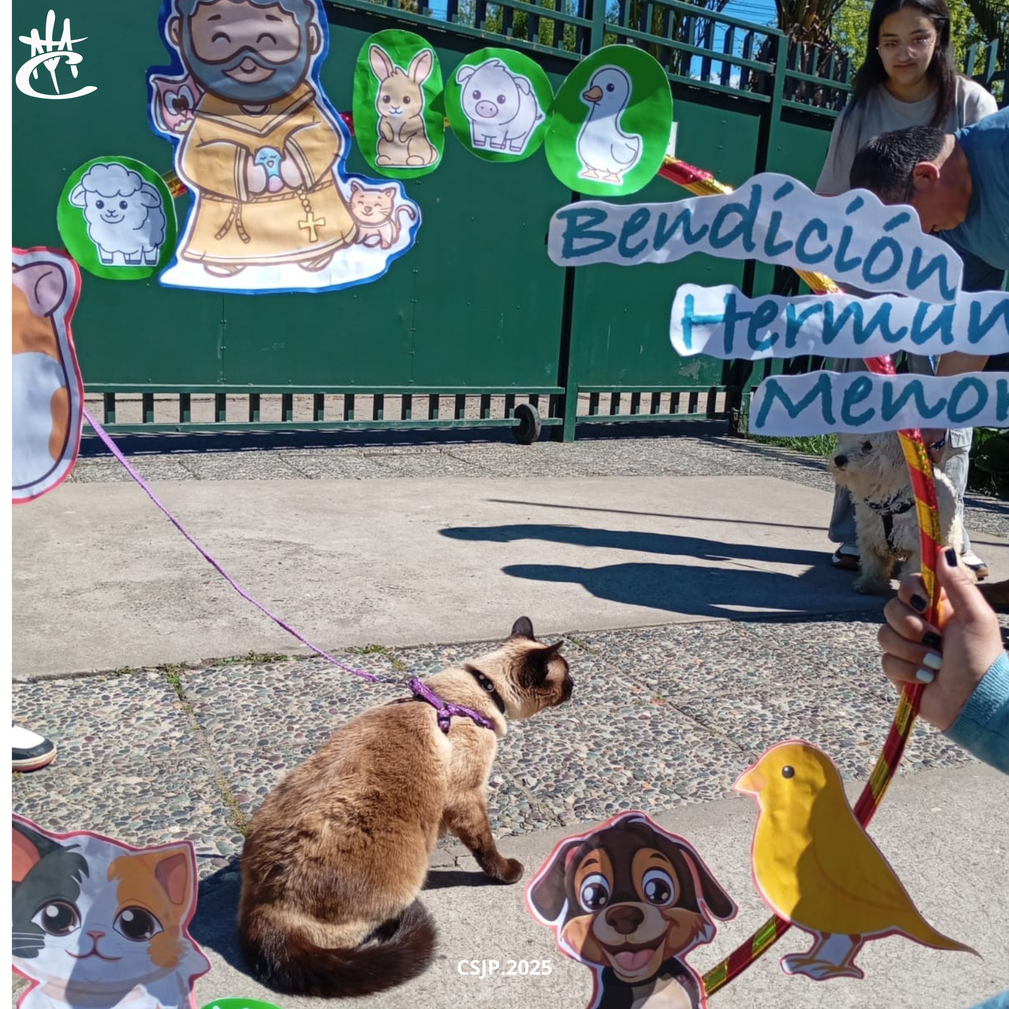 567654489_1261459146002136_2273173065650654587_n