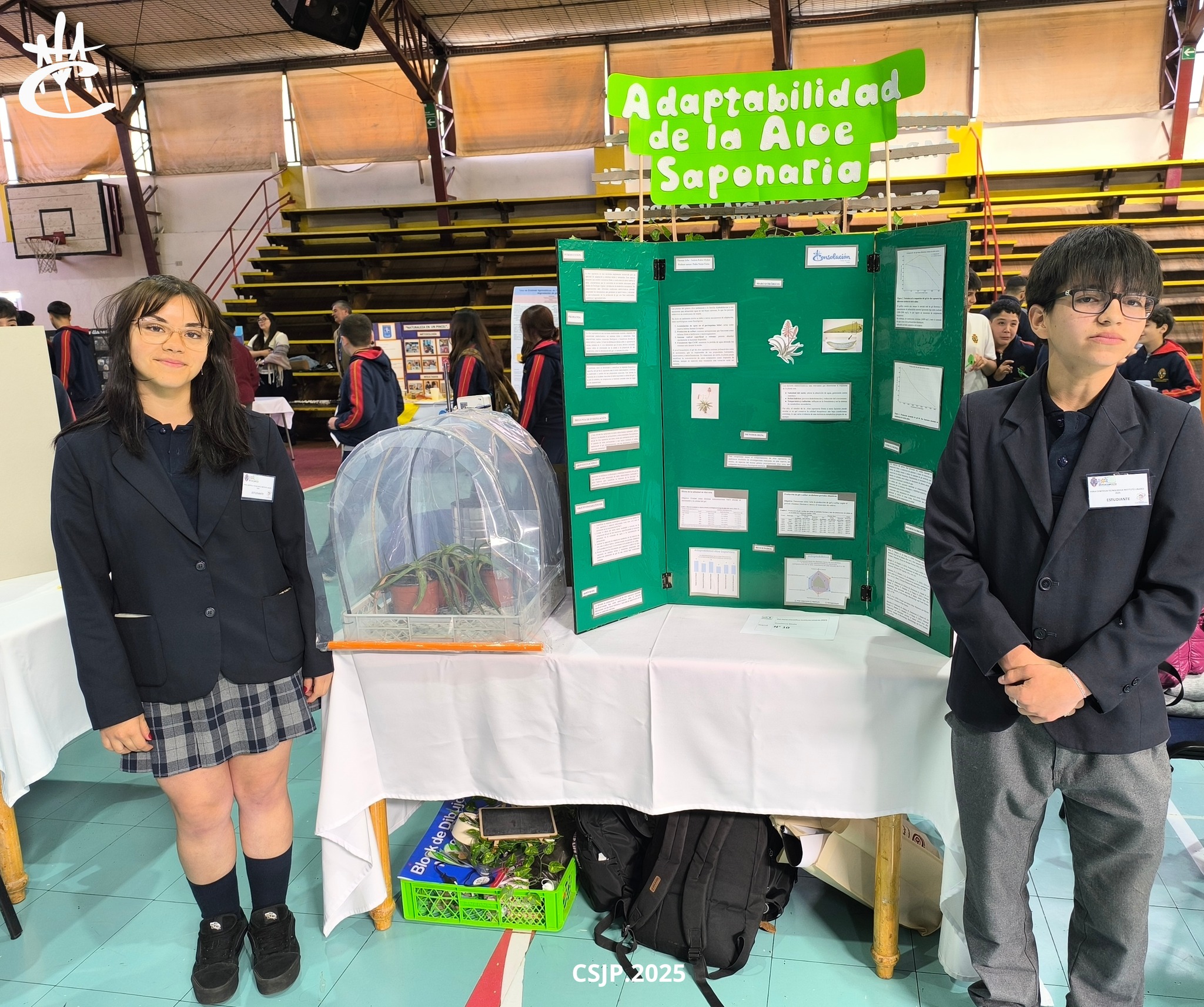 567969266_1261445482670169_7547855727077080856_n