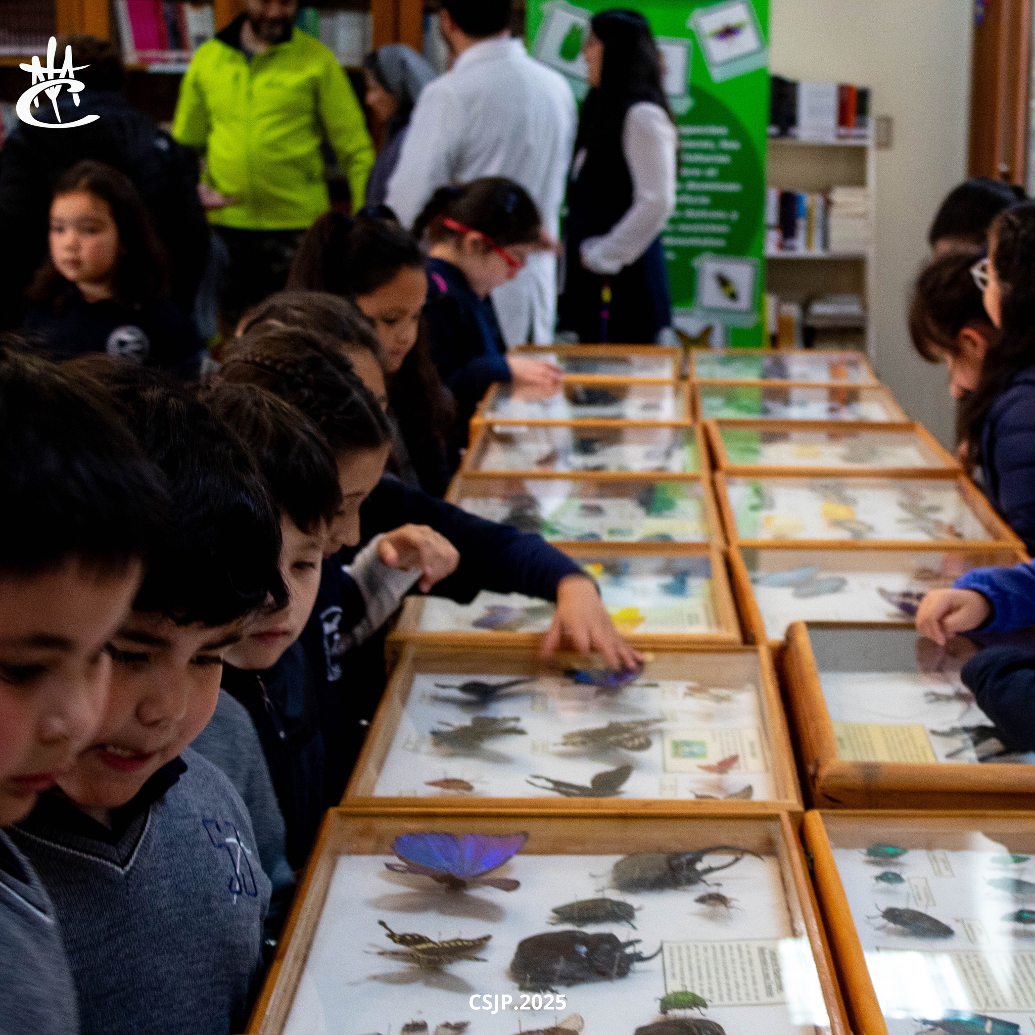 571335003_1275311297950254_8397461107901125307_n